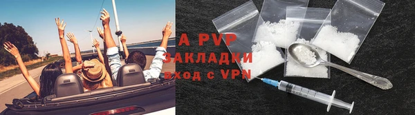дмт Арсеньев