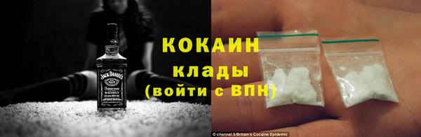 дмт Арсеньев