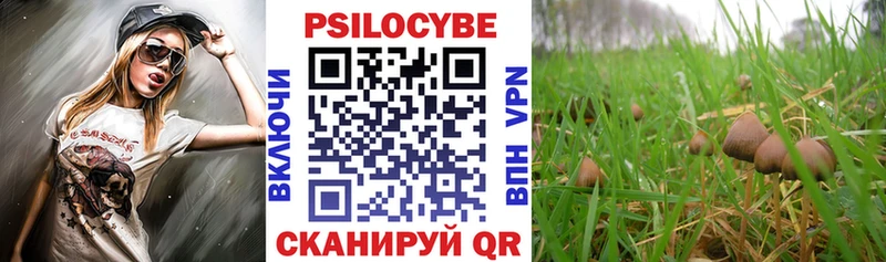 Галлюциногенные грибы Magic Shrooms  Перевоз 